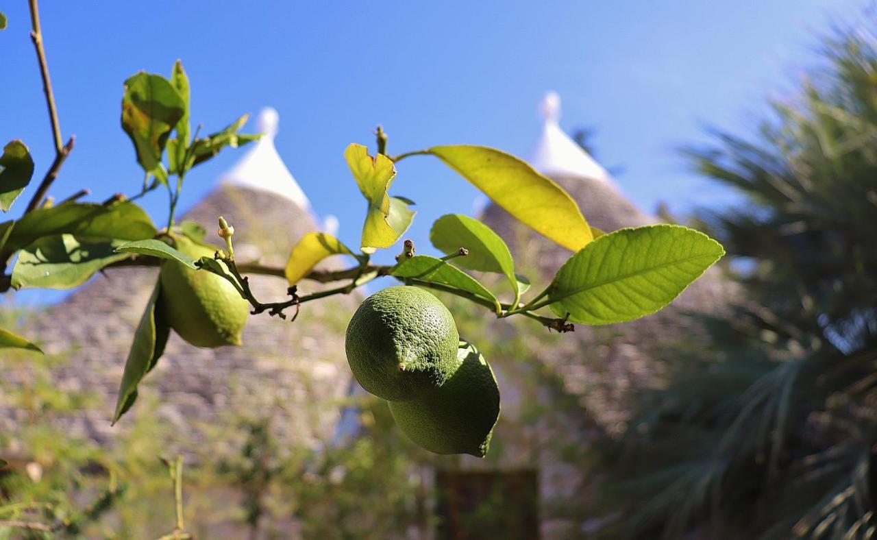 Trulli&Nature Antonelli Exterior foto
