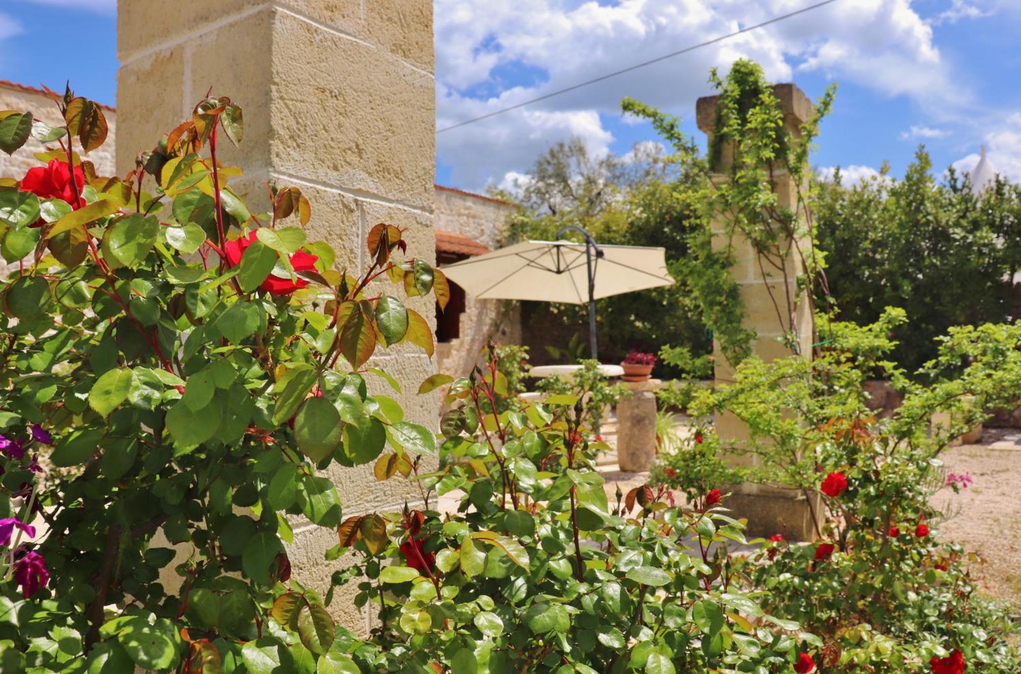 Trulli&Nature Antonelli Cameră foto